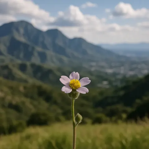 Small Flower in Full Bloom Takes Center Stage