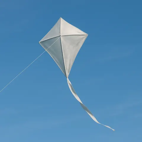 Light Silver Kite