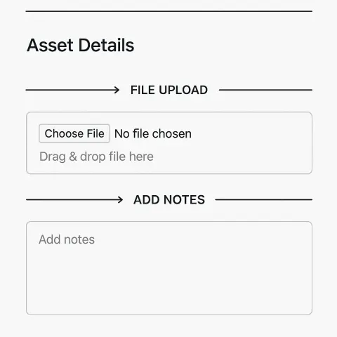 Webpage Interface Presenting Asset Details
