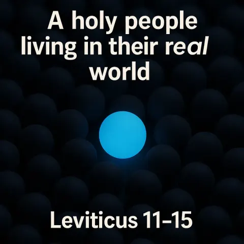 Single Glowing Blue Sphere Stands Out Among a Dense Group