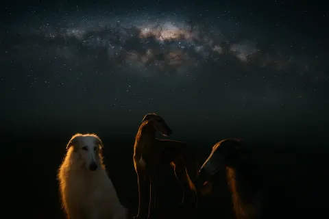 Beneath the Clear Arch of the Milky Way Galaxy