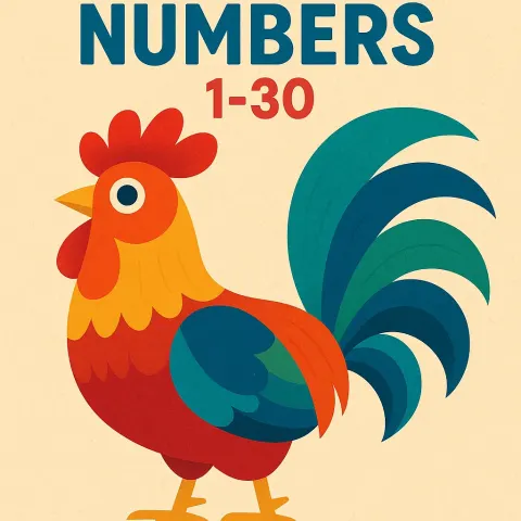 Children's Book Cover Titled "My Book of Numbers 1-30"