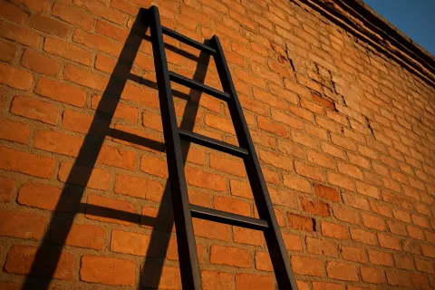 Tall Black Ladder with Three Steps