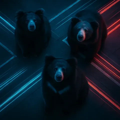 Three Diverse Sloth Bears in a Top-down Flat Lay