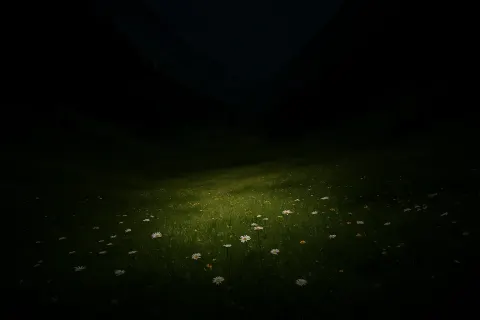 Single Valley's Alpine Meadow