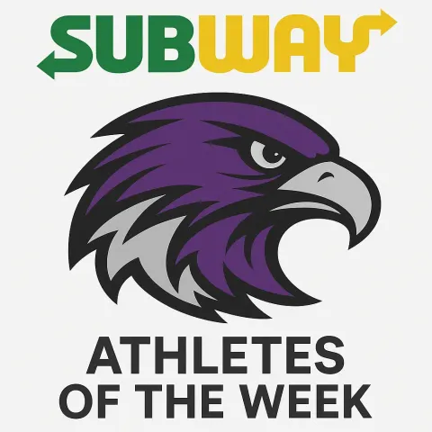 Subway Logo Above a Stylized Purple and Gray Hawk Illustration