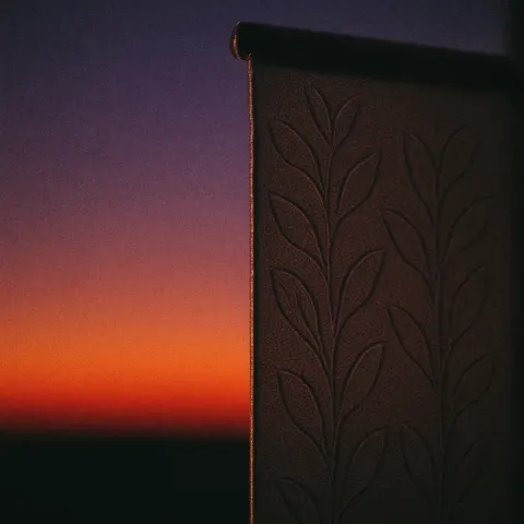 Grainy Twilight Sharply Rims an Embossed Window Shade