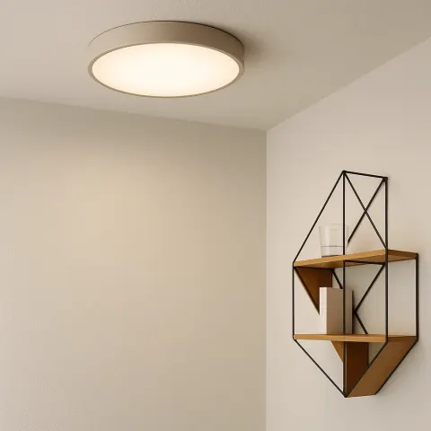 Circular Overhead Light Fixture Paired with a Corner Shelf