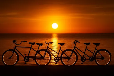 Several Bicycles Built for Two from Behind Create Geometric Shapes
