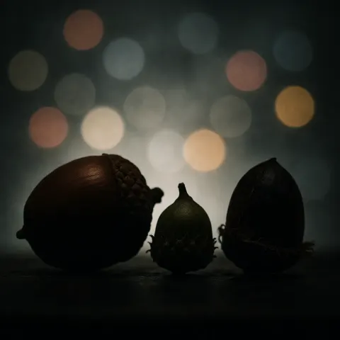 Large and Robust Acorn of Peak Maturity