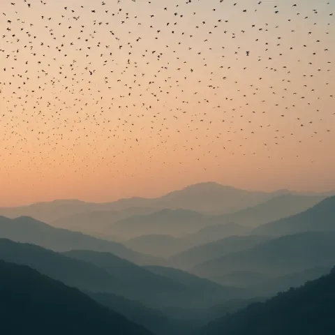 Innumerable Tiny Silhouettes of Birds Soar Gracefully Above a Vast