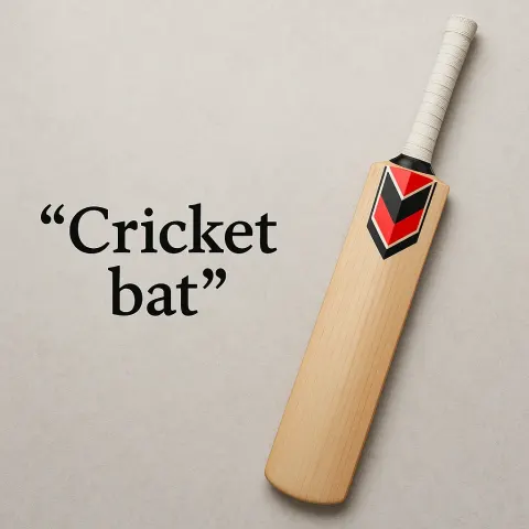 Provide a Single Sentence Regarding a Cricket Bat That Includes