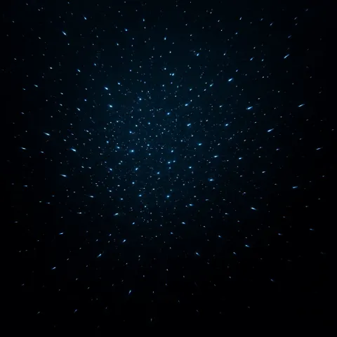 Myriad Tiny Bioluminescent Creatures Drift Like a Living Starfield