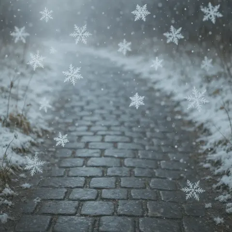 Snowflakes Gracefully Descended Onto the Icy Ground