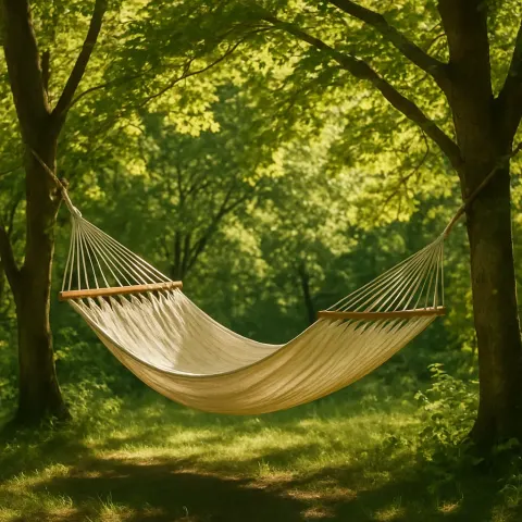 Under the Comforting Shade of Tree Branches
