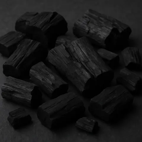 Charcoal Pieces That Remain