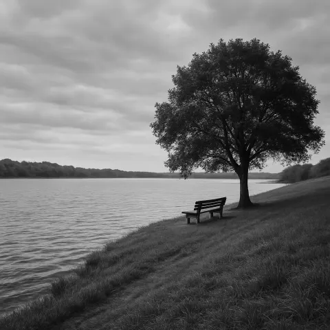 Serene Black-and-white Lakeside Scene Featuring Rippling Water