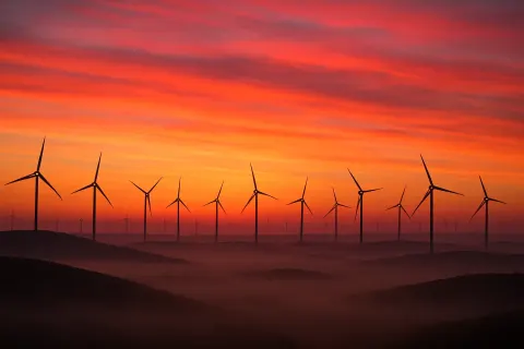 Rows of Numerous Wind Turbines Stand as Distant