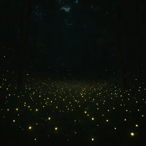 Vast Swarm of Glowing Fireflies Illuminates a Dense
