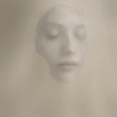 Flowing Sheer Fabric Delicately Conceals a Face