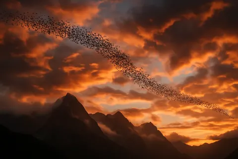 Vast Flock of Migratory Birds