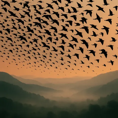 Countless Silhouetted Birds Soar in a Massive Flock