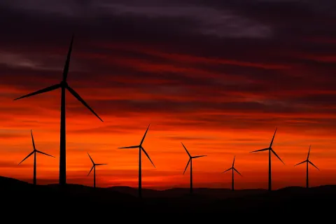 Many Distant Wind Turbines Stand in Stark Silhouette