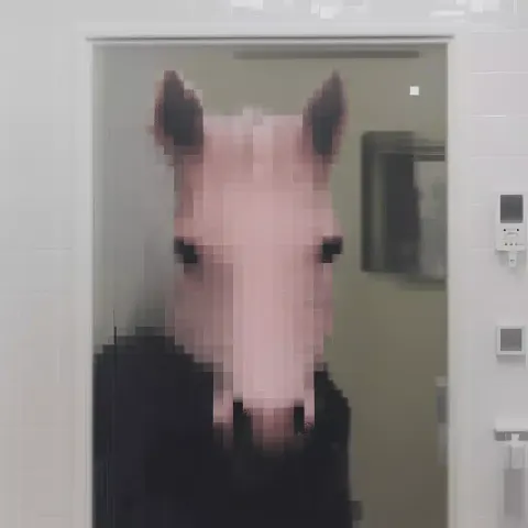 Pink Horse In Bathroom