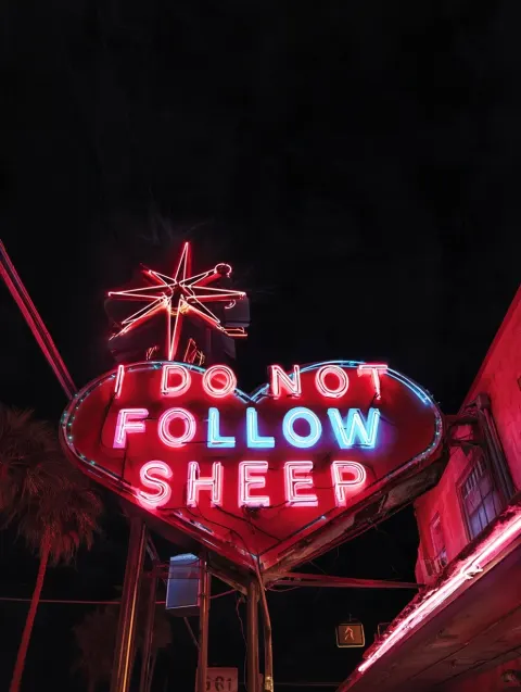 Isolated large neon out door Vegas style large sign , text "I DO NOT FOLLOW SHEEP" no background