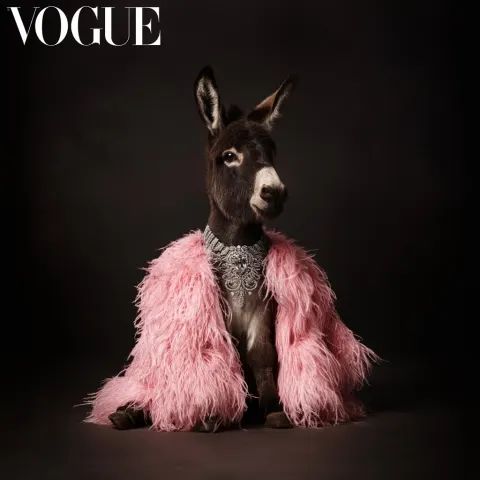A small DONKEY female sitting elegantly, wearing a luxurious pink feather coat and sparkling diamond