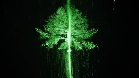 Abstract visualization of a tree made of light, branches of binary code