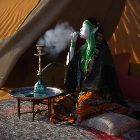 Female albino elf merchant, all chalk white skin, luxurious black hair, gaudy green glass jewelry
