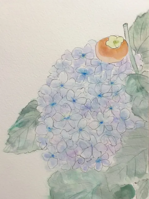 Hydrangeas, Persimmons and a Letter