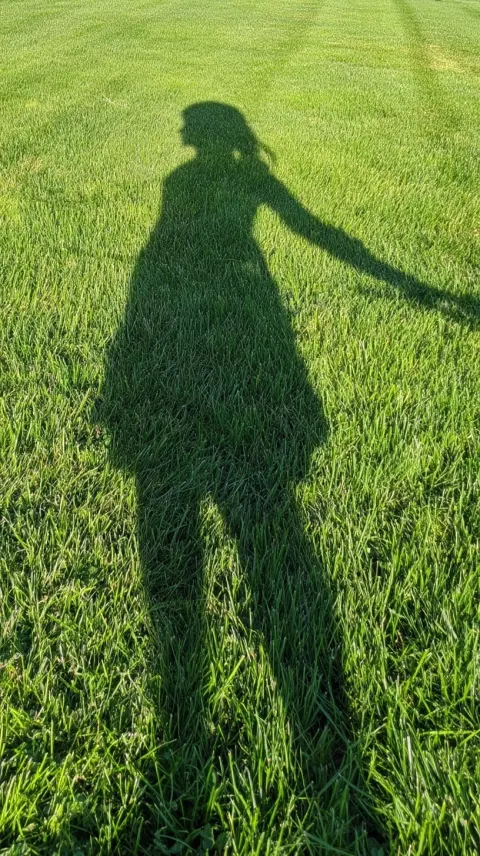 A cinematic realistic photograph of a lush green lawn in brilliant afternoon sunlight