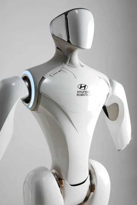 HARA Humanoid Assistant Robot Concept