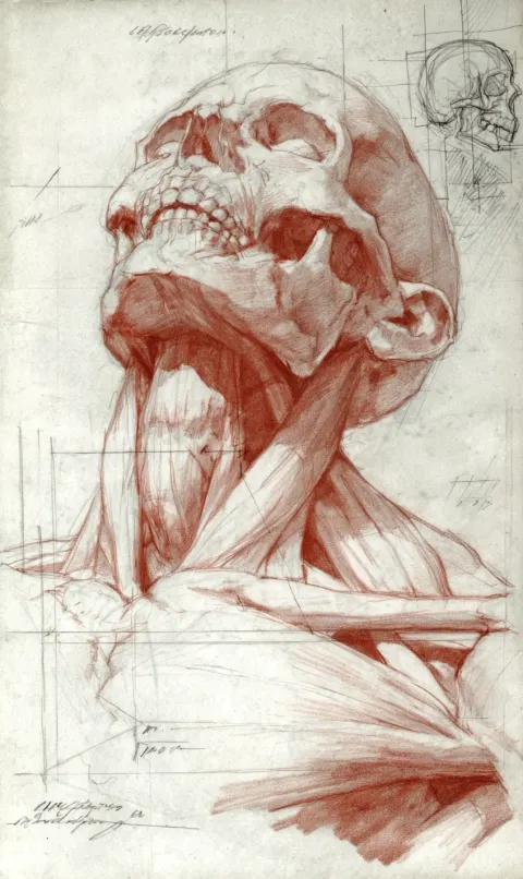 Academic structural anatomy drawing of a zombie, wireframe red lead details