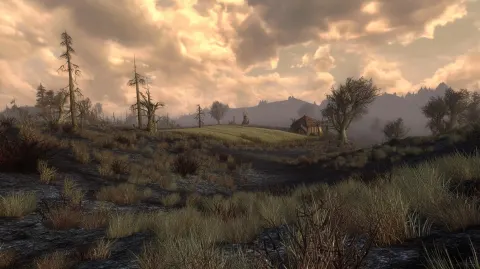 A bleak but beautiful borderland of brown-black earth, tufted grasses, and thorny shrubs