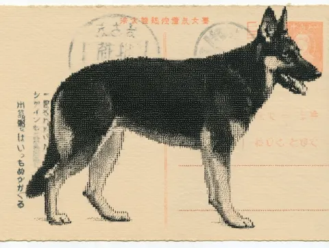Typewriter art illustration of a black alsatian dog, composed entirely of typed characters