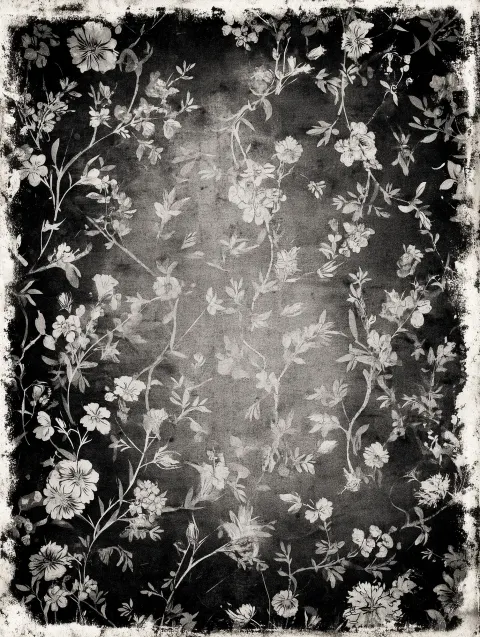 A vintage black and white pattern with a dark floral design in the background, distressed edges