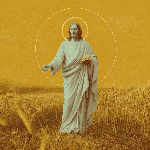 An outline of Christ imposed over a background of Wheat while Christ holds the Eucharist