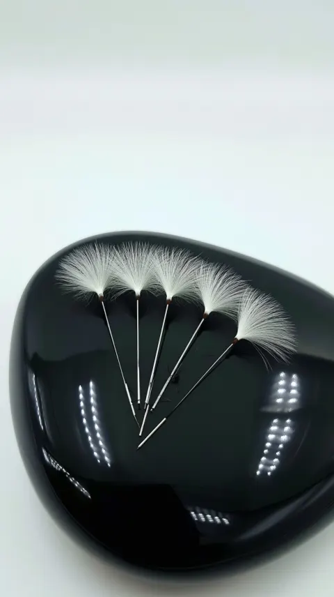 Five dandelion parachute seeds resting on a glossy black stone - the transformation happens as a smo