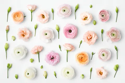 Minimal pastel floral flatlay featuring soft-toned ranunculus, lisianthus, and small buds