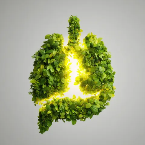 A human [stomach] made of lush green leaves and herbs. must be anatomically accurate in size and pos
