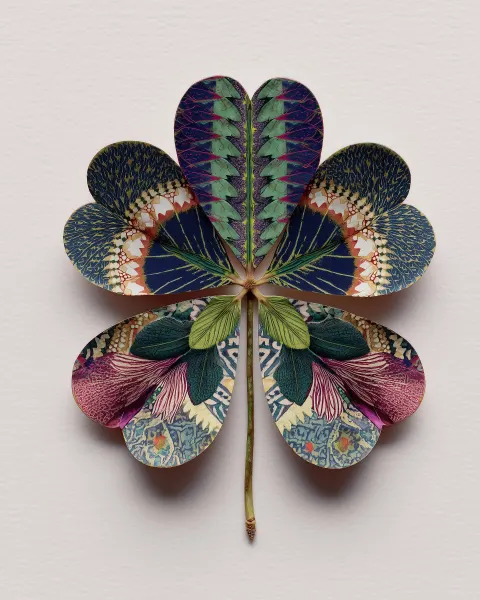 A hyperrealistic photo of one tropical colored lucky-clover with big berber indigenous print