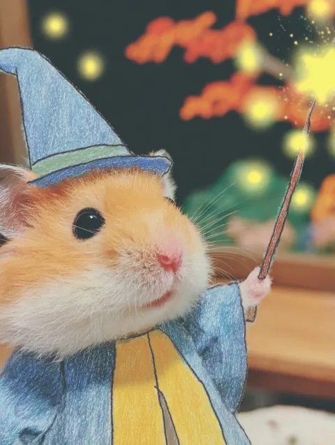 A hyper-realistic photograph of an adorable dwarf hamster dressed as a wise wizard