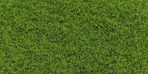 Lawn, Taken from directly above. seamless pattern