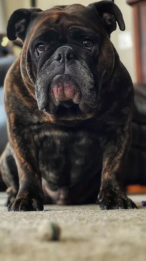 Vertical smartphone photo from a low handheld angle