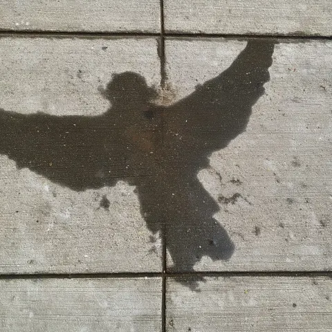 A splash of water on a concrete sidewalk, in the vague shape of a humanoid with wings