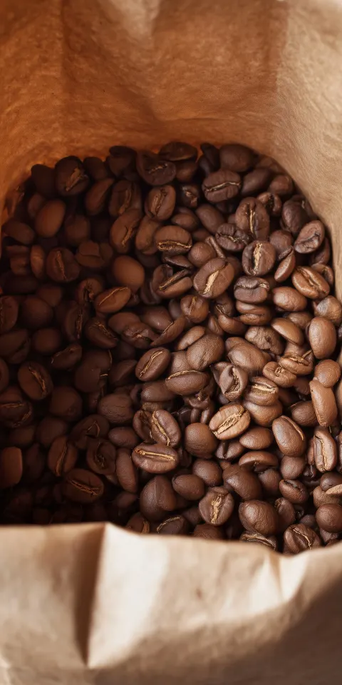 Overhead shot of light roasted premium coffee beans in a brown paper bag. casual not staged.