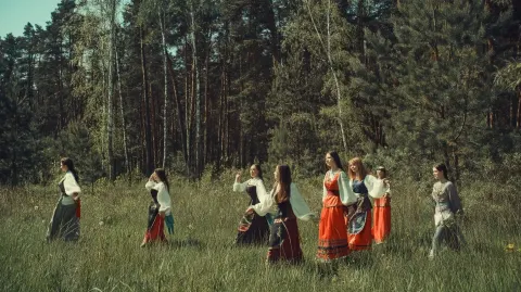A real forest, with beautiful pine, birch, and alder trees; beautiful